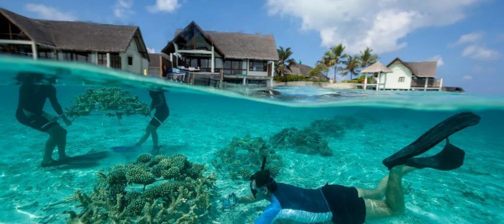 FOTOGRAFÍA DE GEORGE STEINMETZ