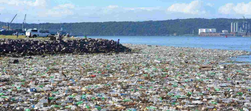 botellas de plastico