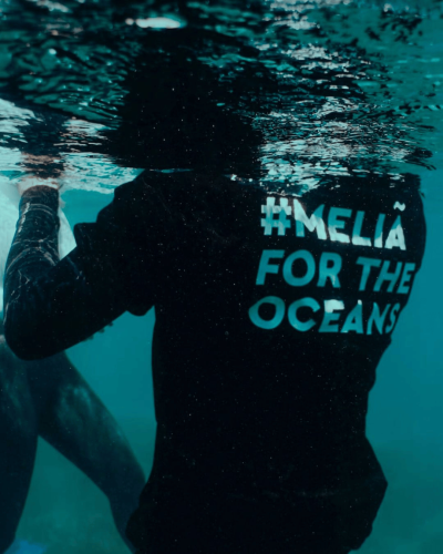 melia gravity wave