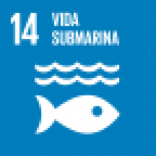 vida submarina sostenible