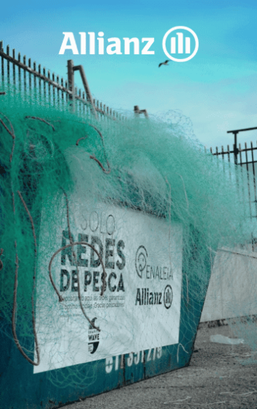 Redes gravity wave